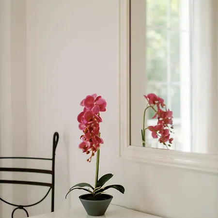 Beachwalk Apartman *